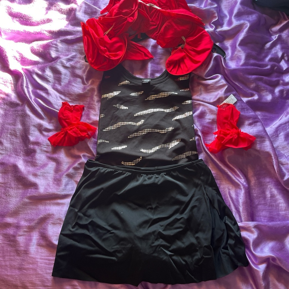 Dance recital costume